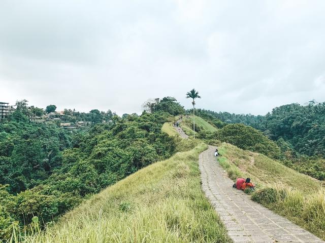 Bali (Ubud) - Singapur e Indonesia 2018 (11)