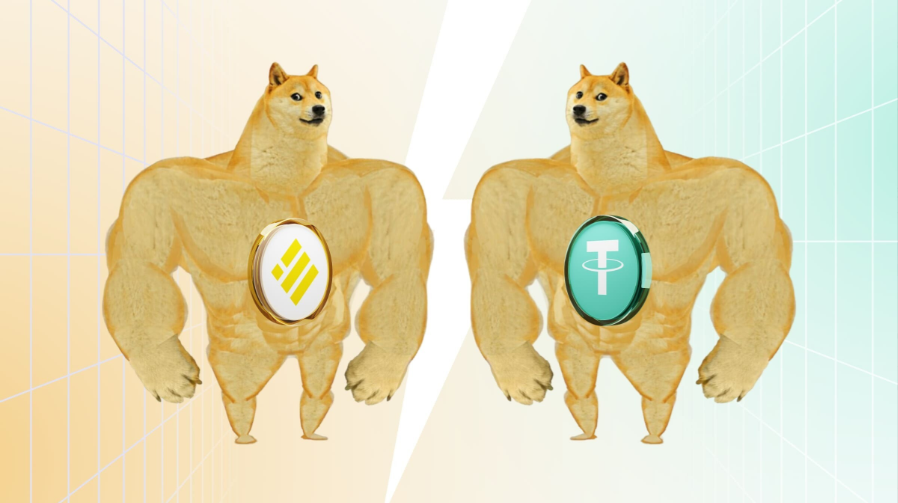 guide Об особенностях и отличиях стейблкойнов USDT и BUSD
