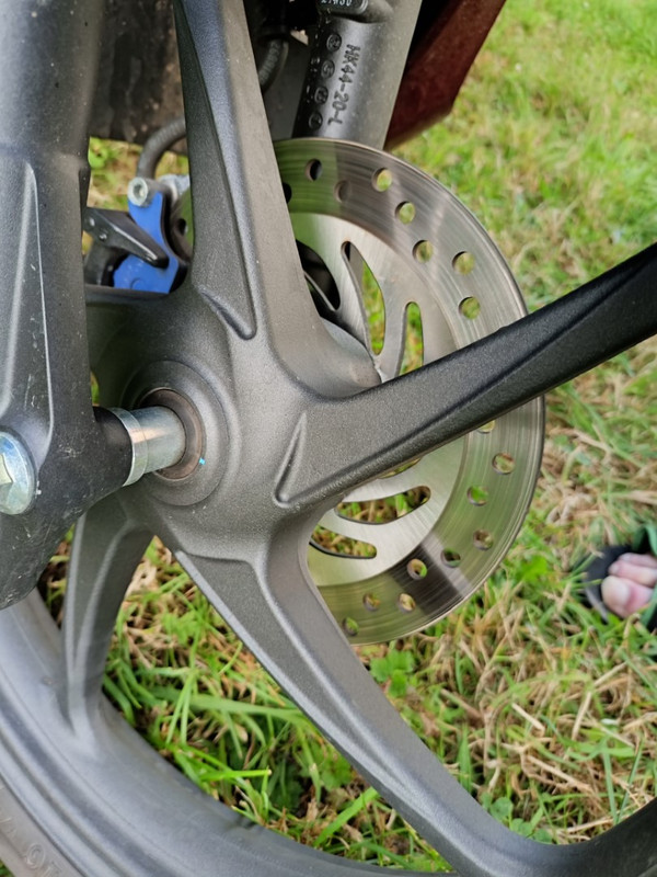 IMG20220617185336 (Large)