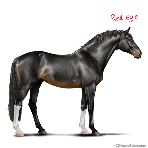 Untitled1173-20250723115324.png
