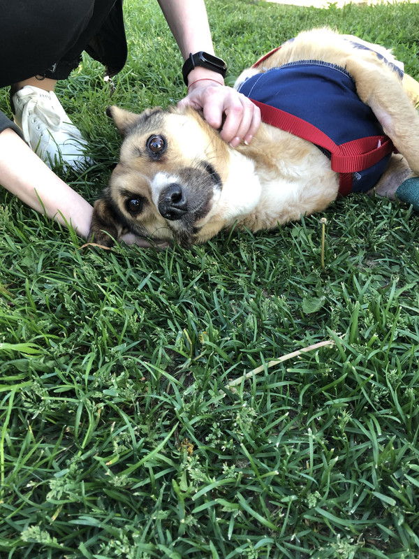 C9E8A3A3-D3E9-446E-98E5-7AD37050BADB