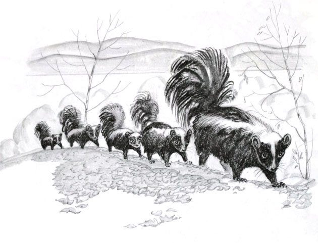 19-8