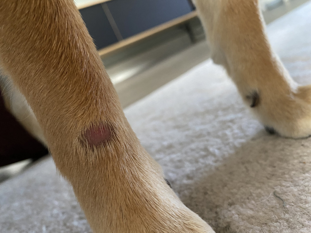 89780C62-DD35-49BB-A786-8210BFBB75DE