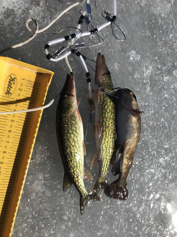 0274B280-B03E-4A1E-8E7D-2DE1EDA2D2C4