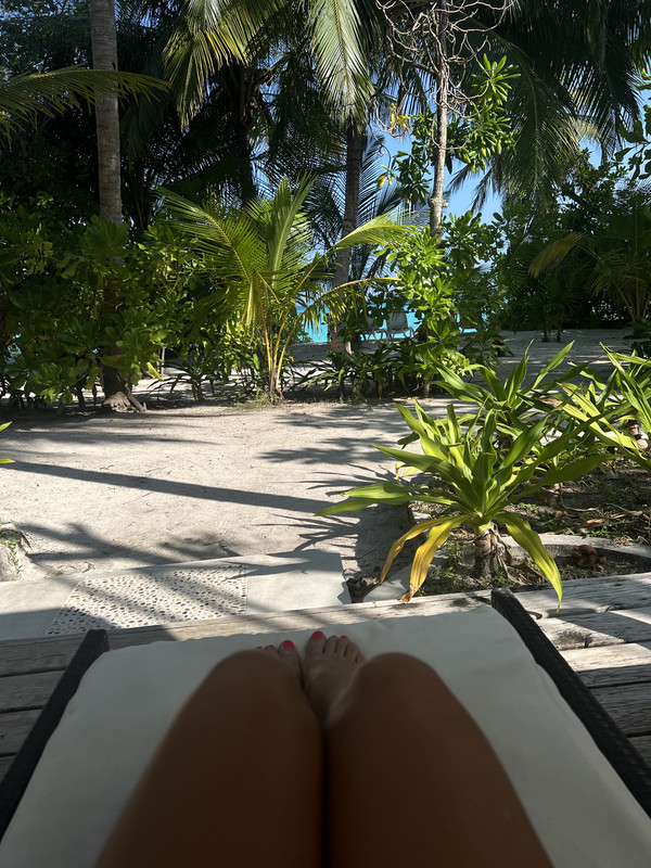 E0F85358-B9D1-4BFF-99D6-1FE10068A445