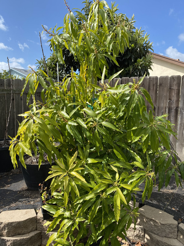 D4B62293-729B-48C2-B6D6-2333D39BD767