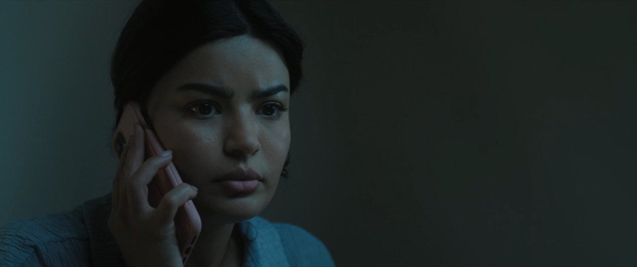 Unidentified 2026 WebRip [Hindi + Tamil + Telugu + Arabic] 480p 720p ESub Screenshot