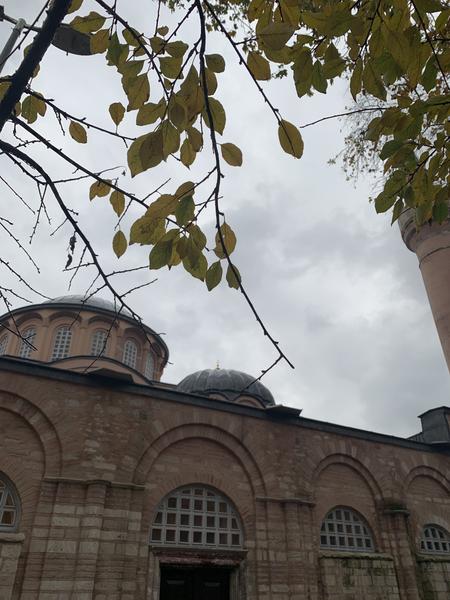 Estambul: Primera estancia - Un poco de Turquía en Navidad de 2025: Estambul y Capadocia bajo la nieve (10)