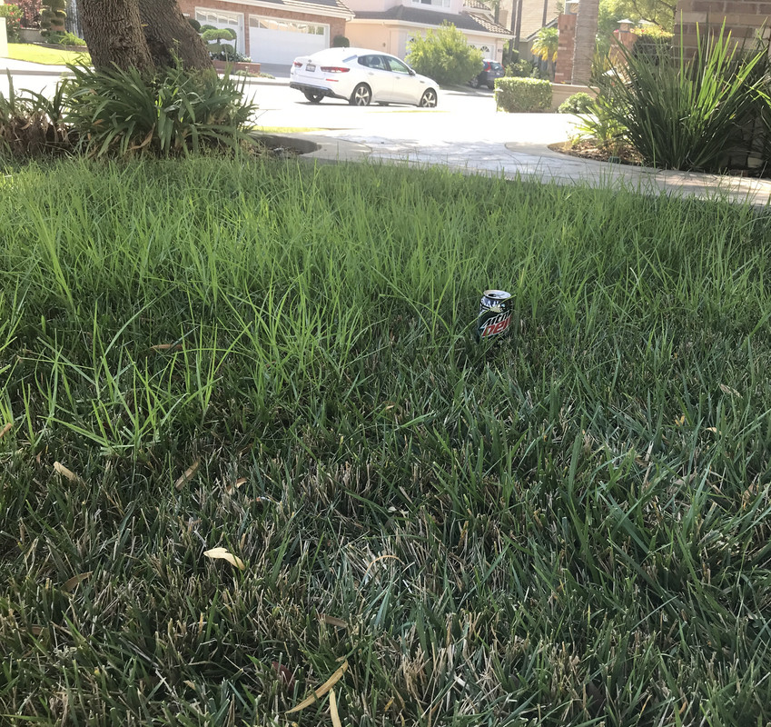 2591C452-61D1-48A7-B741-091F456B5C1F