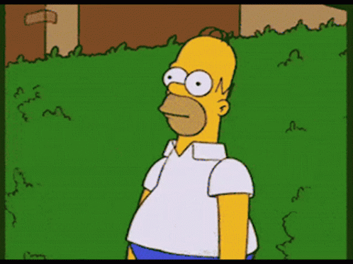 the-simpsons-homer-simpson.gif