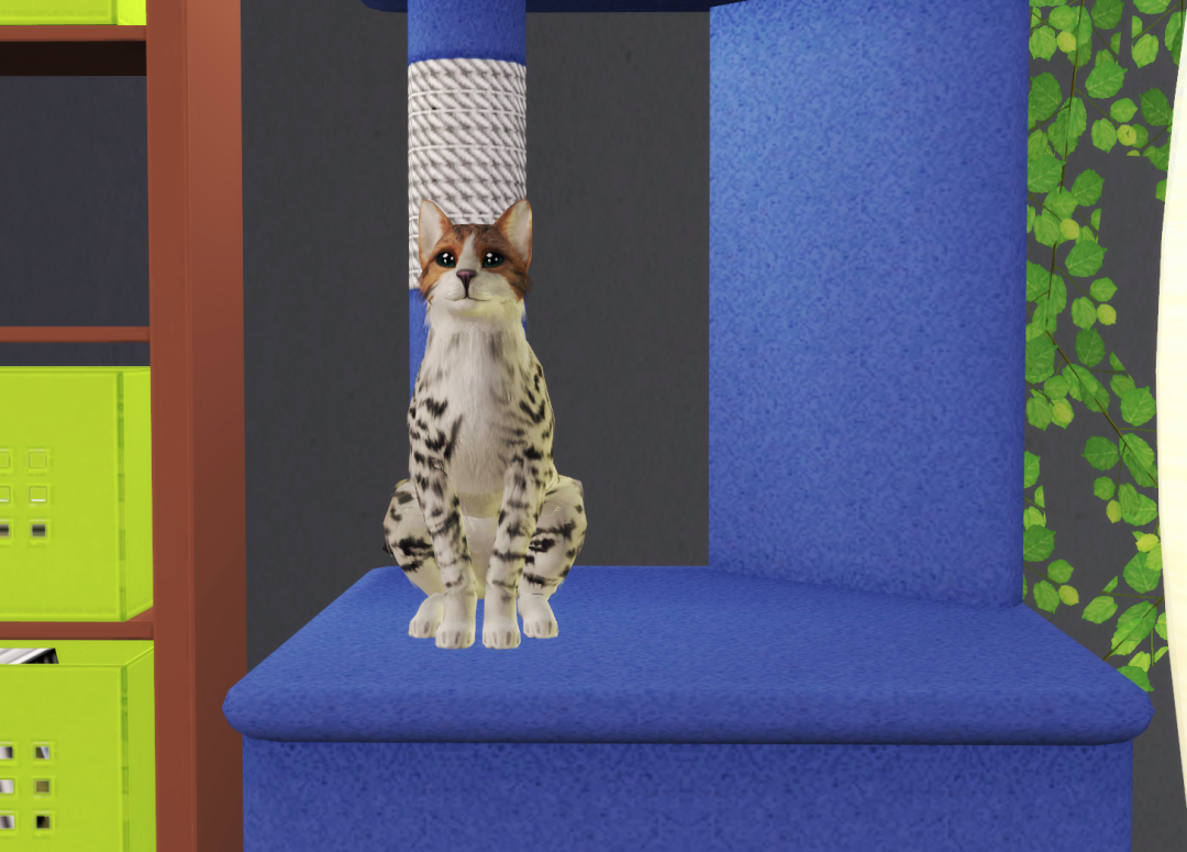 Sims2-EP9-RPC-2022-12-27-19-10-54-83