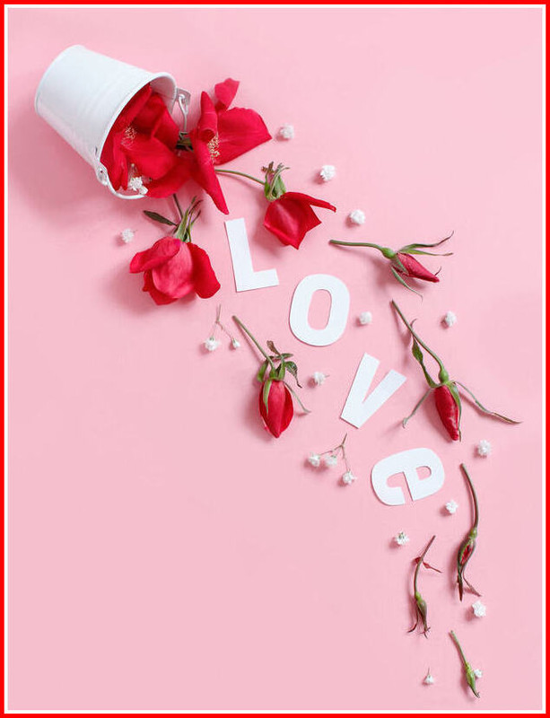 158487436825346938 (7)