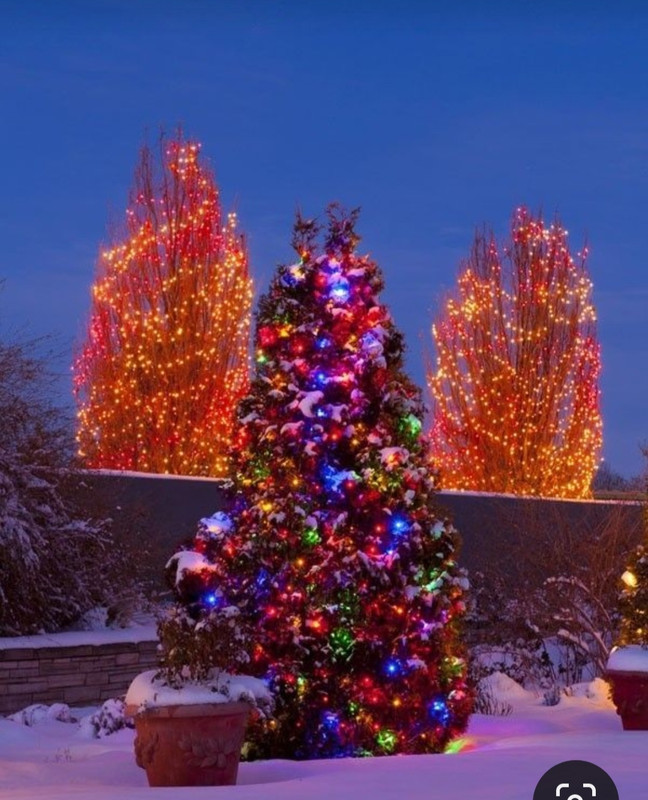 Screenshot_20231217_184536_Pinterest