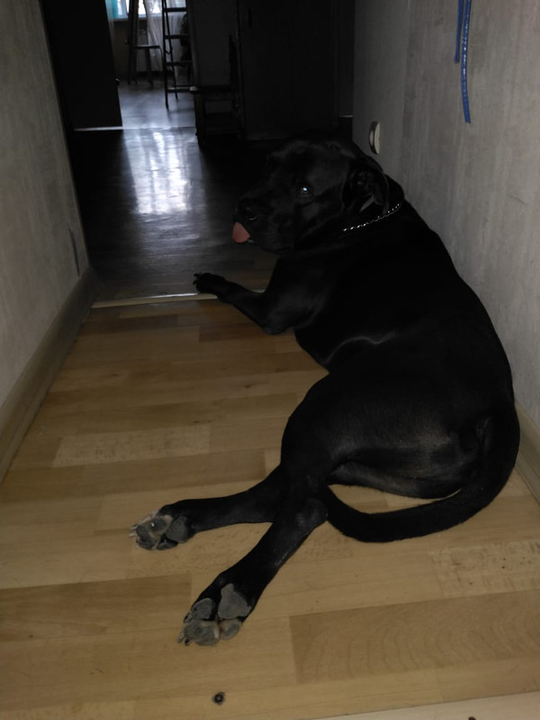 B1864440-E03D-4A74-8B02-544AD6E13023