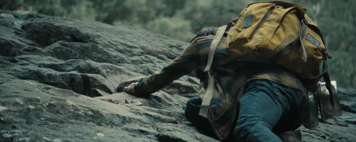 Jungle.3