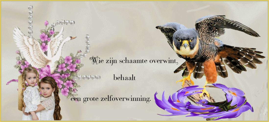 plaatje-24-maart-2022