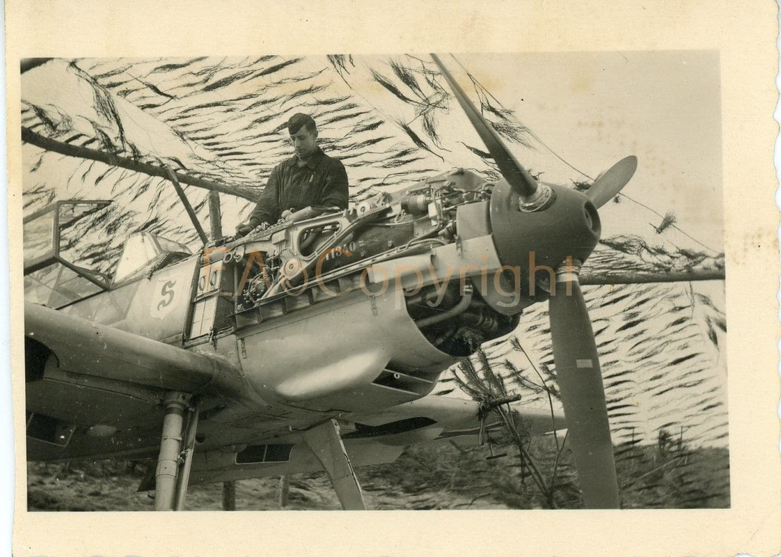 Flugzeug Airplane Wappen Kennzeichen Foto (2)