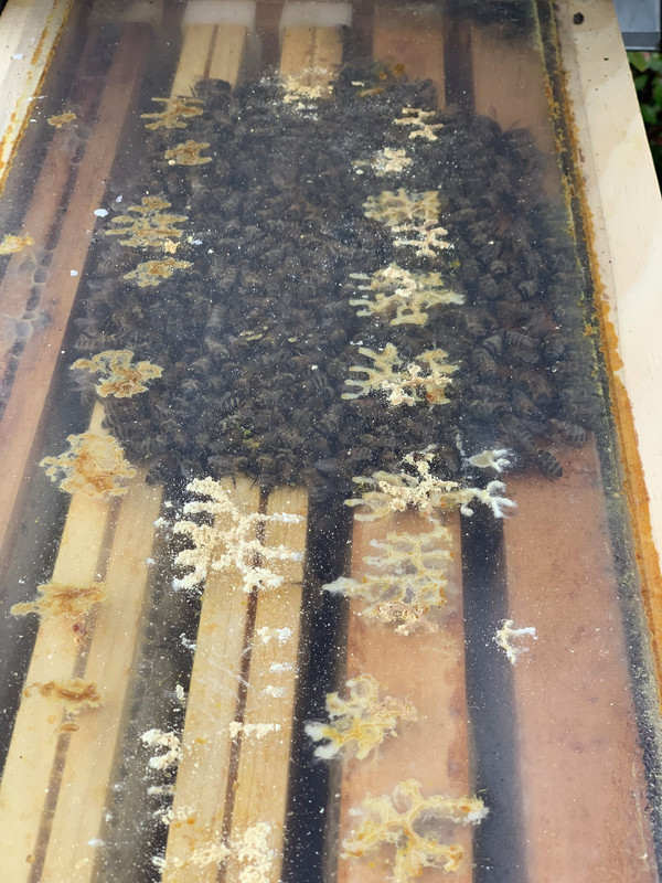 81BDC224-DC2F-4882-A02B-3C5FD97F4D82