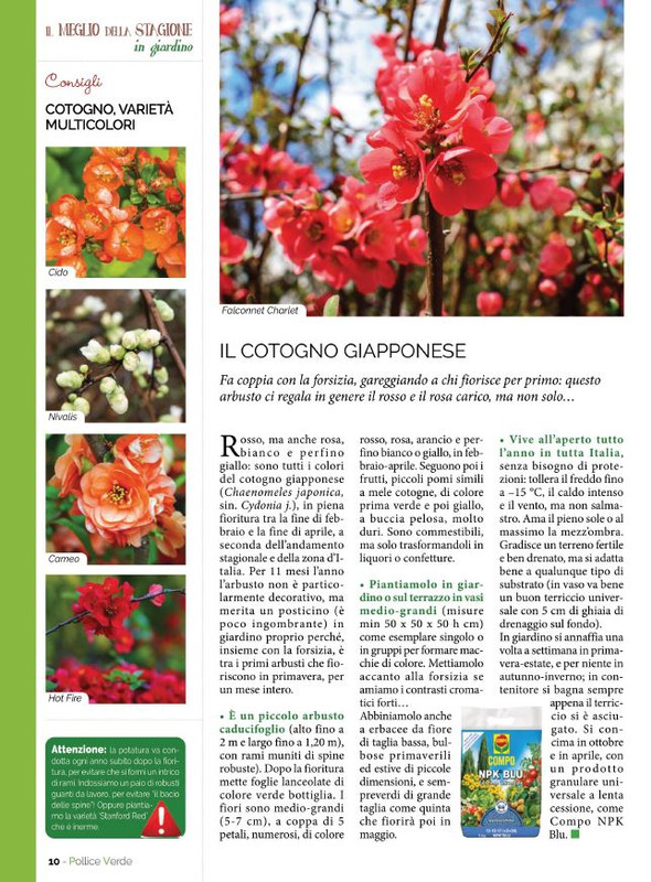 Pol Ver Mar-Apr 2022 (1)