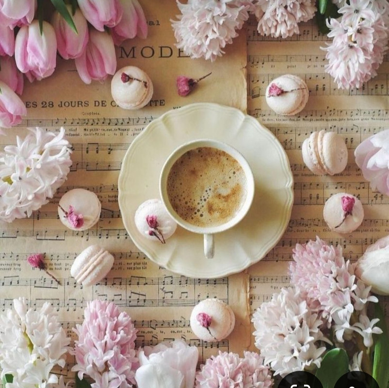 Screenshot_20240722_222031_Pinterest