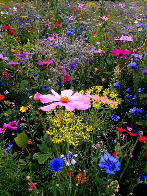 [Image: FB-IMG-1659027490692.jpg]