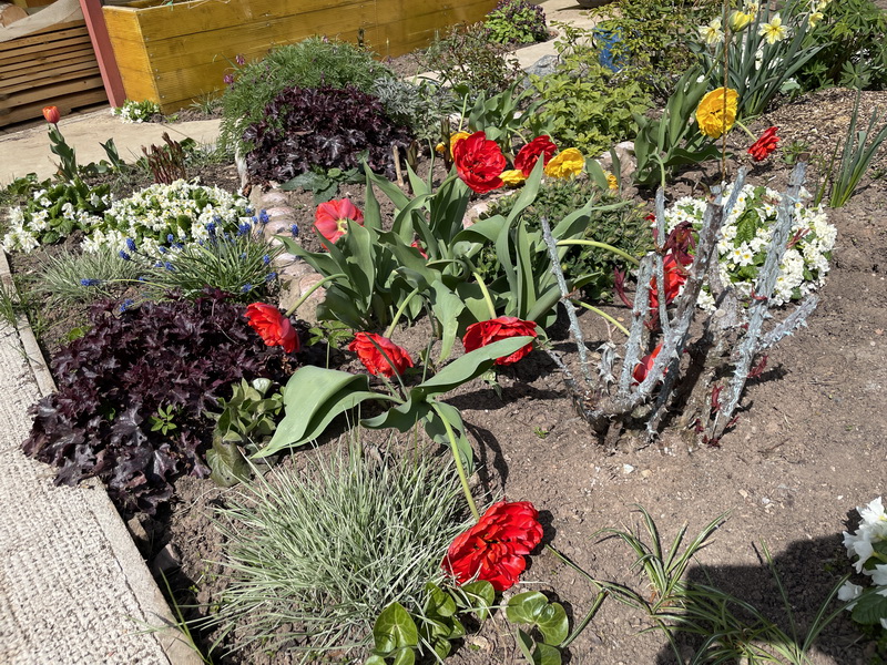 https://i.postimg.cc/HWtLBMDP/IMG-2483.jpg