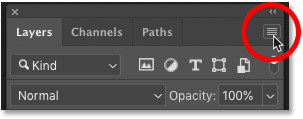 layers-panel-menu-icon