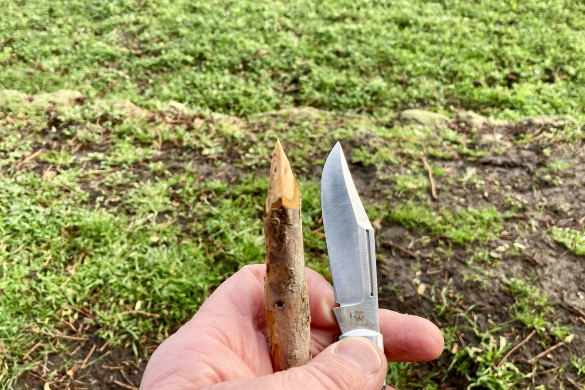 37615970-B1E7-42AB-8C3D-83D11DC3DFB2