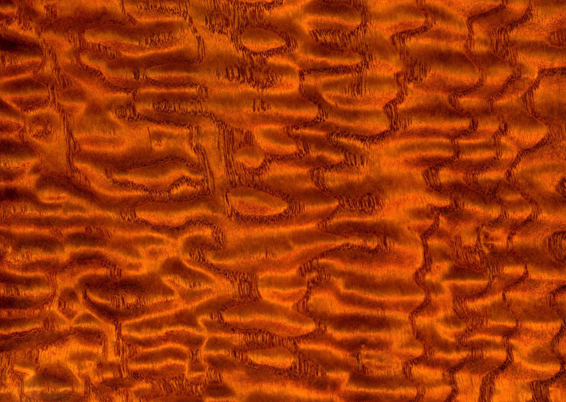 wood-texture-3dsmax (574)