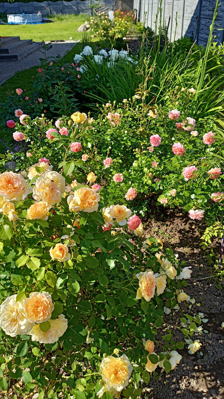 IMG20220626171348