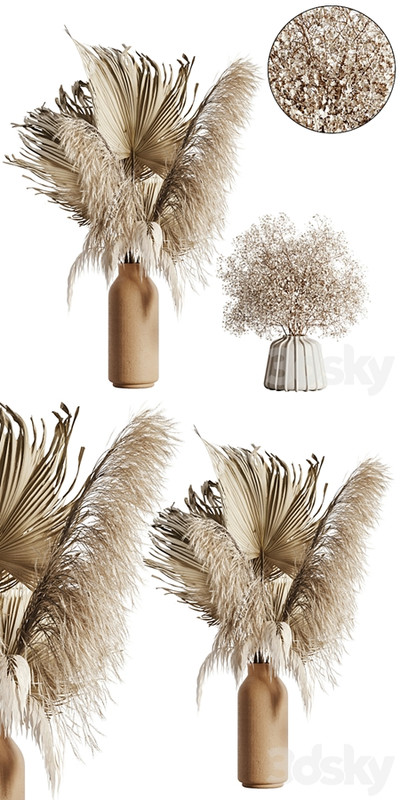 pampas set 04