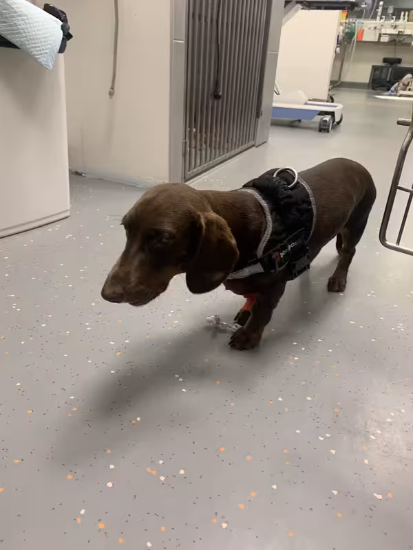 [Image: IMG-20250802-072420.avif]