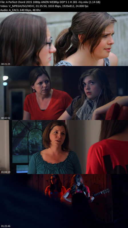 A-Perfect-Chord-2015-1080p-AMZN-WEBRip-DDP-5-1-H-265-i-Vy.jpg