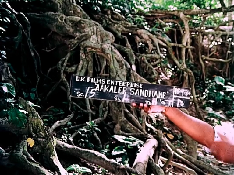 আকালের সন্ধানে (1982)