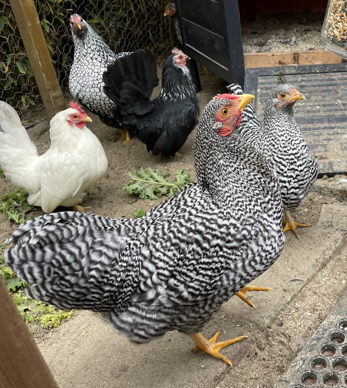 1EC02B48-6F2A-4AF0-900D-C2FF26B72E73