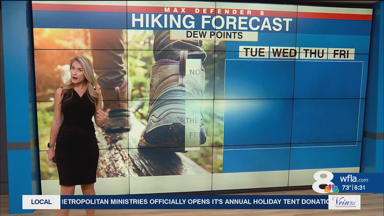 NewsChannel 8 Today at 6a_20241112_11001200.ts_snapshot_31.57.176