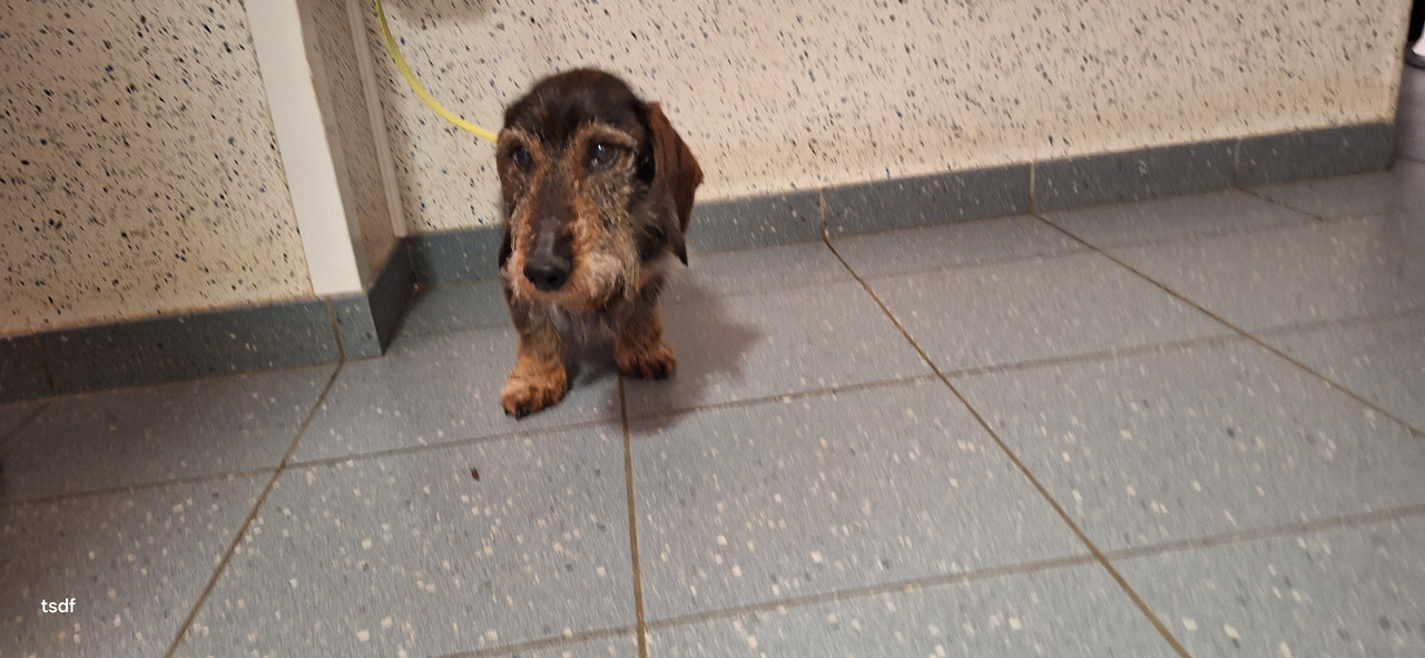 [Image: 20250117-173943.jpg]