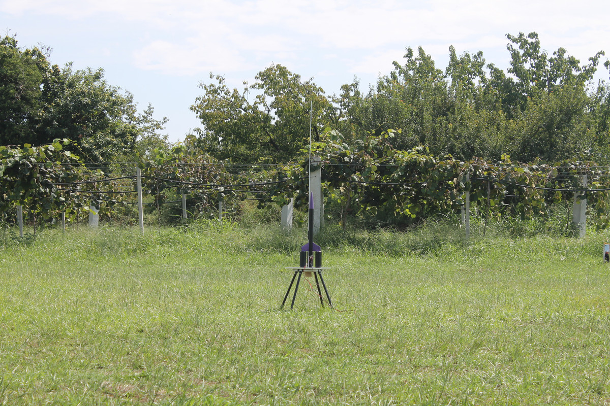 Image 13