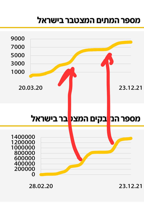 78081E99-B484-411B-97E4-32538ACE4295