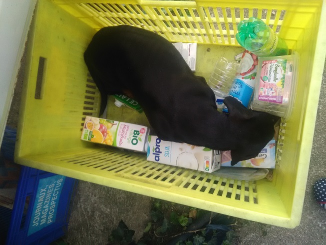 [Image: Betise1.jpg]