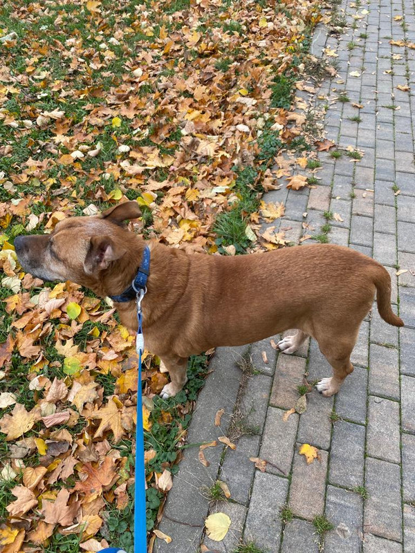 872292BA-6165-4C2B-B821-B9EDB5B7E3FC