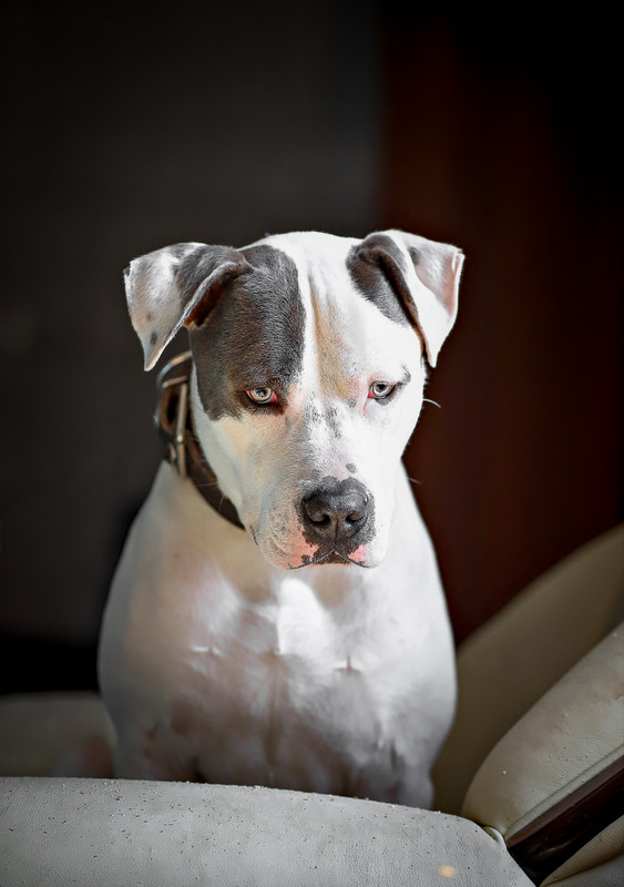 FEECEF50-98EA-4CBB-AA69-9878BB673CFD