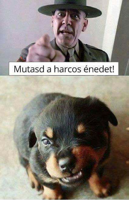 harcos-nem.jpg