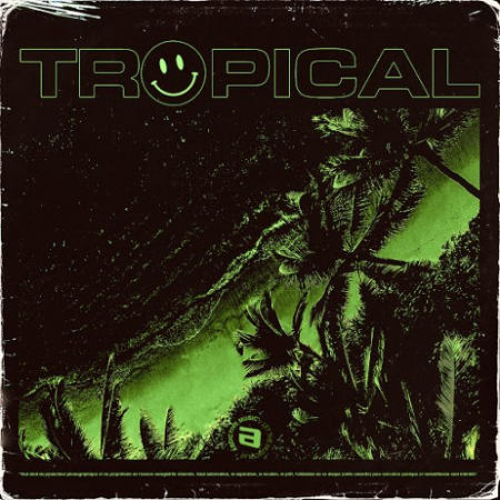 VA - Tropical Chillout Lounge (2020)