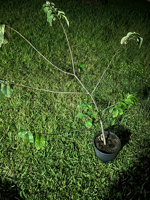 114B25AA-A9C0-4CA1-BF01-9F71E2748AA5