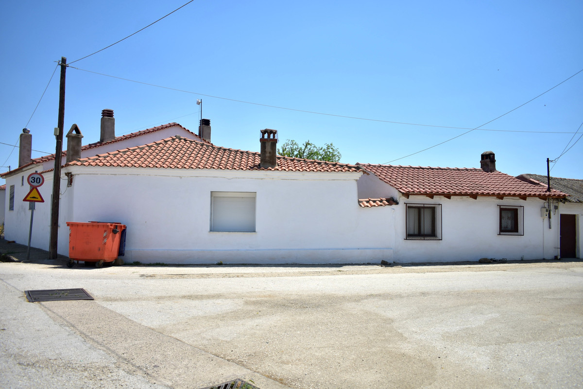 Αμάραντα (5)