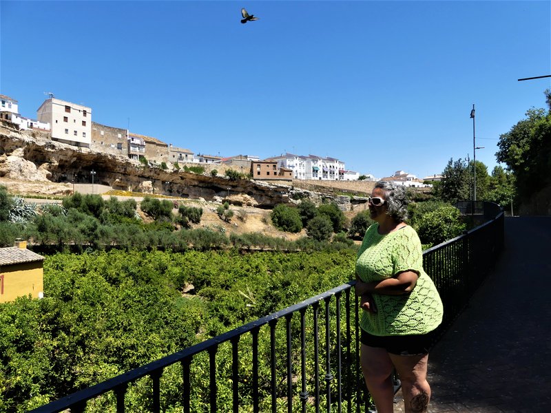 HORNACHUELOS-4-7-2020 - Córdoba y sus pueblos-2017/2020 (15)
