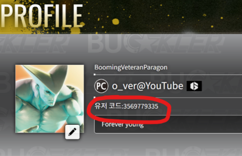 Player SID 예시 이미지