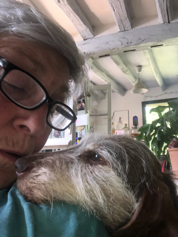 [Image: IMG-4051.jpg]