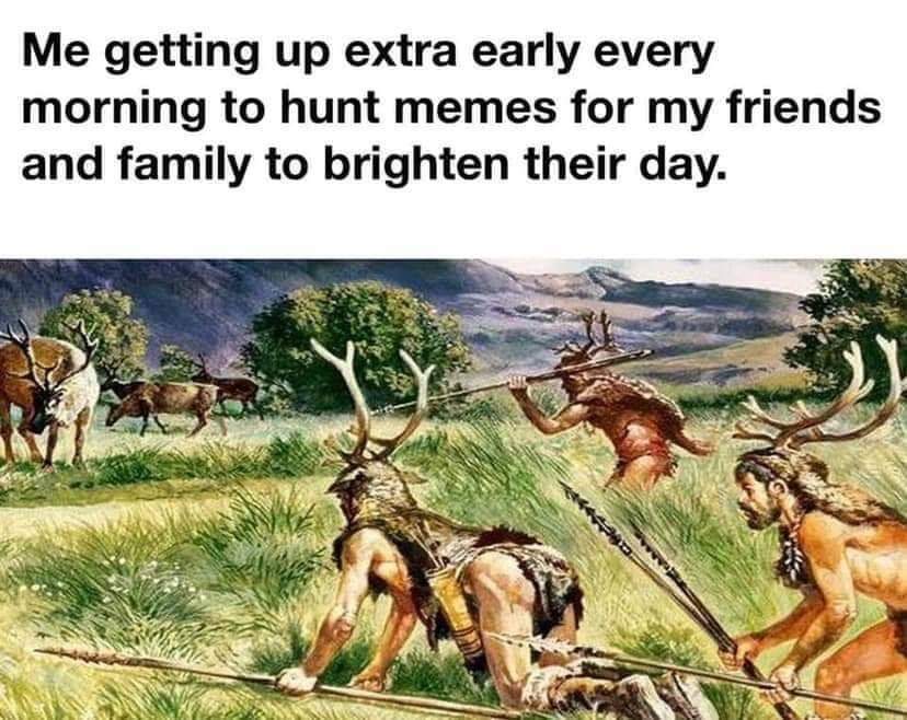 20gvrhvafu731.jpg